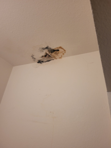 A ceiling showing water damage and mold, ready for repair by Precision Craftsman LLC in San Antonio, TX.