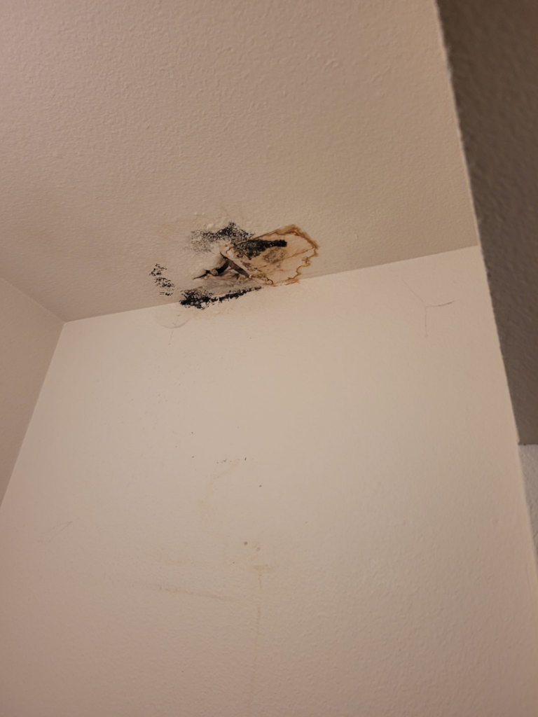 A ceiling showing water damage and mold, ready for repair by Precision Craftsman LLC in San Antonio, TX.