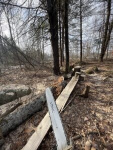 A chainsaw blade pointing towards cut logs and wood planks in a wooded area, illustrating tree cutting services by Russell Tree Works & Firewood Sales in Augusta, ME.