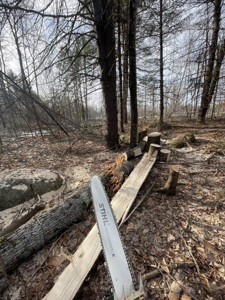 A chainsaw blade pointing towards cut logs and wood planks in a wooded area, illustrating tree cutting services by Russell Tree Works & Firewood Sales in Augusta, ME.