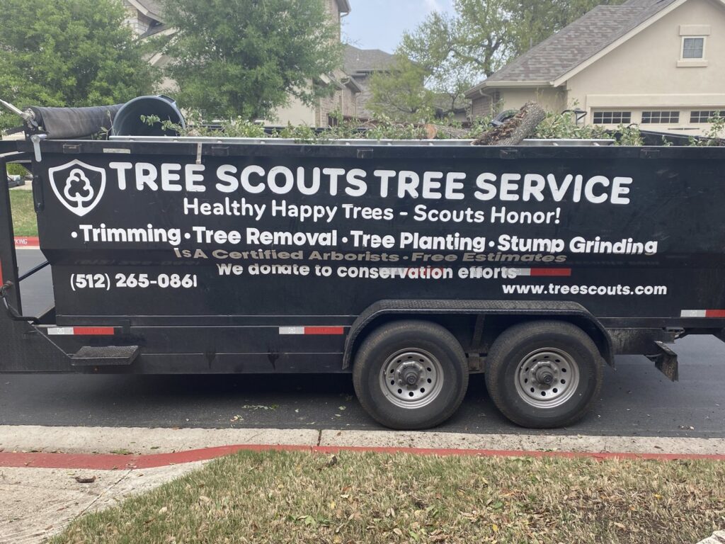A chainsaw resting on the ground next to a freshly cut log and sawdust, indicating recent tree service work by Tree Scouts Tree Service & Trimming Georgetown in Austin, TX.