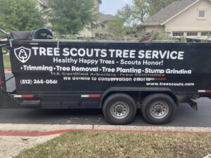 A chainsaw resting on the ground next to a freshly cut log and sawdust, indicating recent tree service work by Tree Scouts Tree Service & Trimming Georgetown in Austin, TX.