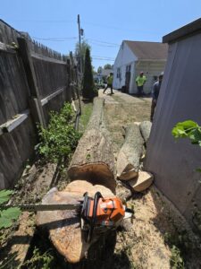 A chainsaw resting next to freshly cut logs and wood chips after a backyard tree removal by Trail Based Tree Service in Schenectady, NY.