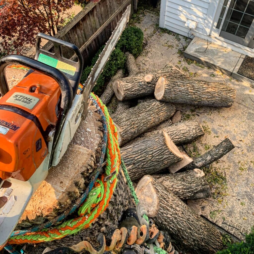 A professional chainsaw resting on a large cut log, surrounded by other logs and wood debris from a tree removal by Lake Forest Tree Service LLC in Milwaukee, WI.
