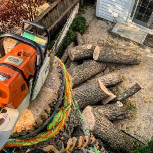 A professional chainsaw resting on a large cut log, surrounded by other logs and wood debris from a tree removal by Lake Forest Tree Service LLC in Milwaukee, WI.