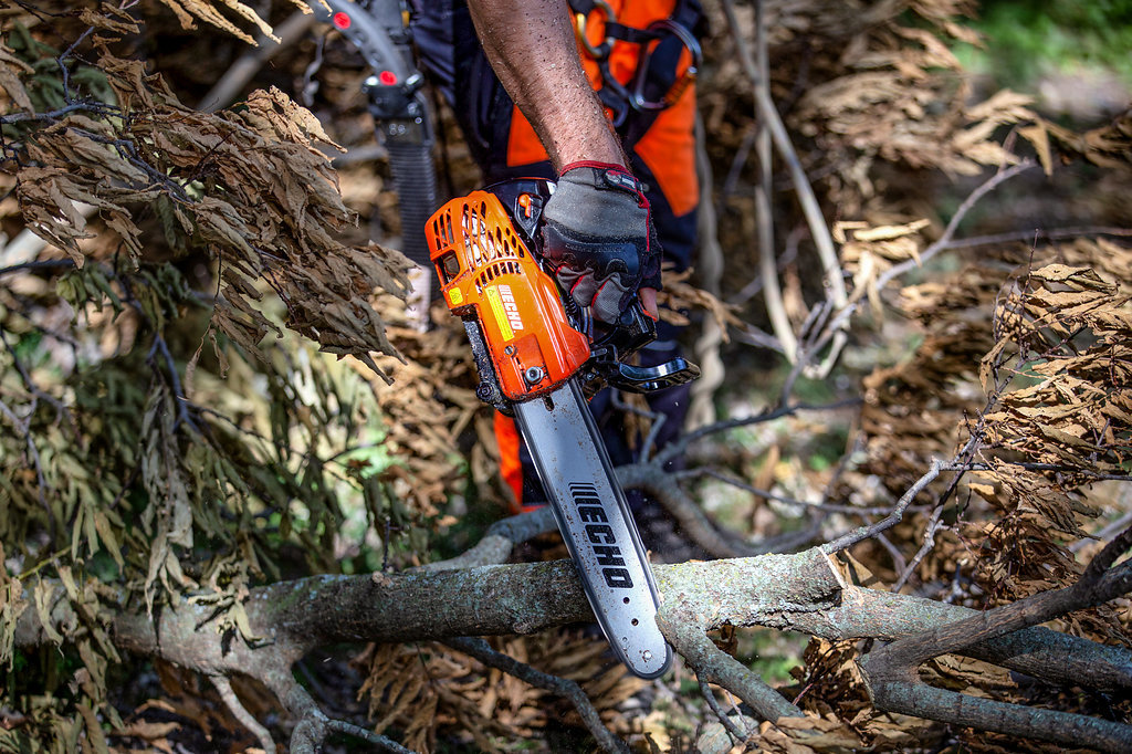 A tree service worker using a chainsaw to cut a fallen branch for Kansas Tree Care in Lawrence, KS.