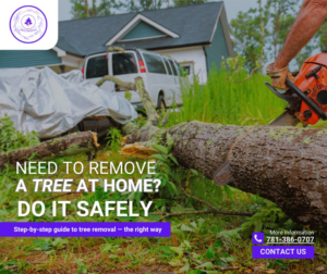 A worker using a chainsaw to cut a fallen tree trunk for Shore Tree Service in Quincy, MA.