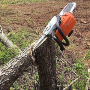 A chainsaw actively cutting a fallen tree trunk, showing tree service work by Hughes Resource Management in Fairbanks, AK.