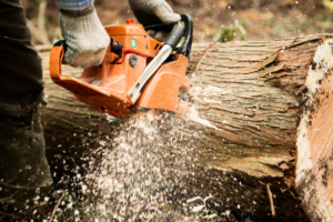 A worker using a chainsaw to cut a large log, demonstrating tree cutting services by Capital City Tree Care in Baton Rouge, LA.