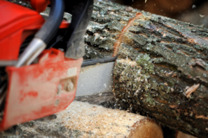 A close-up of a chainsaw cutting through a tree trunk, demonstrating tree removal by Triangle Tree Services in Pinellas Park, FL.