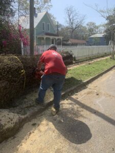A tree service worker using a chainsaw to cut a large log on the roadside for Clifford & Sons Tree Service in Mobile, AL