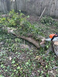A chainsaw resting on a freshly cut tree trunk amidst branches, showing tree removal work by Arbor Elite SC in Columbia, SC.