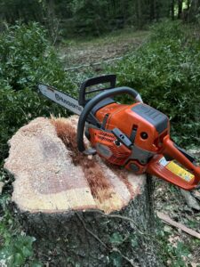 A Husqvarna chainsaw resting on a freshly cut tree stump, showcasing tree removal work by Solid Ground Tree & Property Services LLC in Dothan, AL.