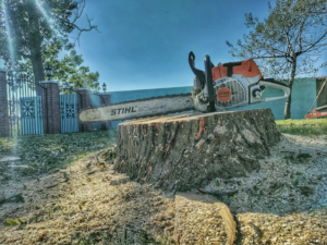 A Stihl chainsaw resting on a freshly cut tree stump with sawdust, showing tree removal by Good Fellers Tree Services in Westland, MI.