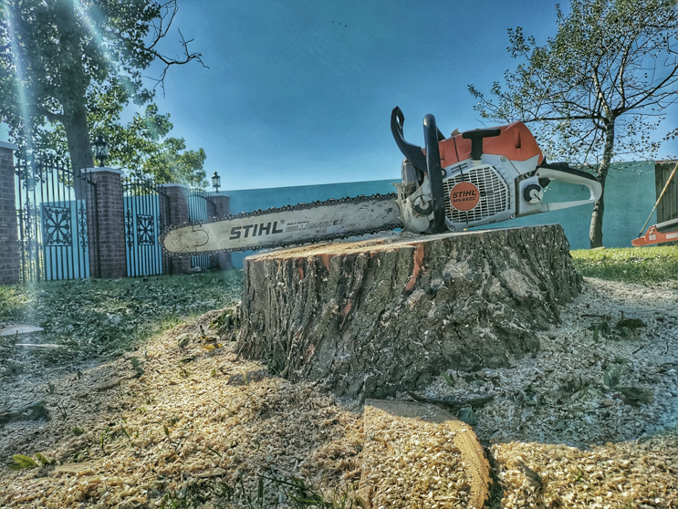 A Stihl chainsaw resting on a freshly cut tree stump with sawdust, showing tree removal by Good Fellers Tree Services in Westland, MI.