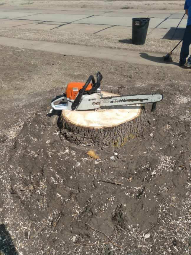 A Stihl chainsaw resting on a freshly cut tree stump after tree removal by Grand Island Tree Service in Grand Island, NE.