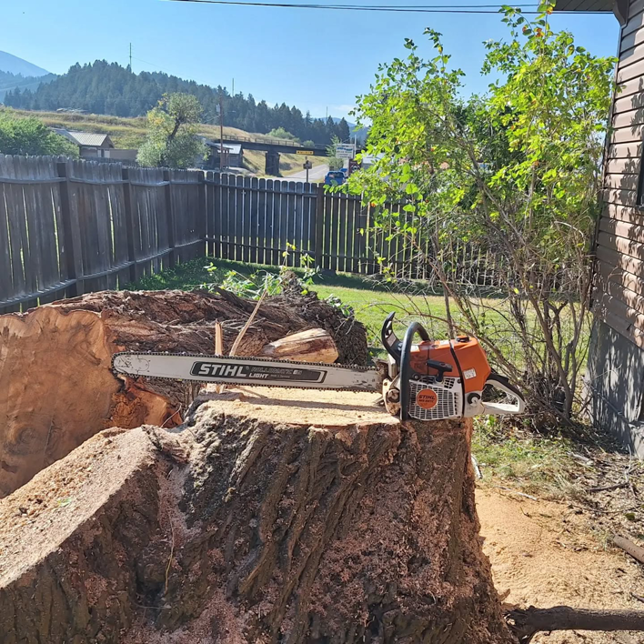 A Stihl chainsaw resting on a freshly cut tree stump after a tree removal service by Mountain Tree Company in Missoula, MT.