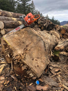 A chainsaw resting on a large log or stump at a tree removal site by Jere's Tree Service in Kodiak, AK.