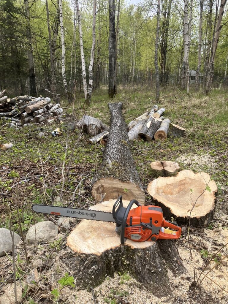 A chainsaw resting on a tree stump after tree removal by Send it tree service in Salem, NH