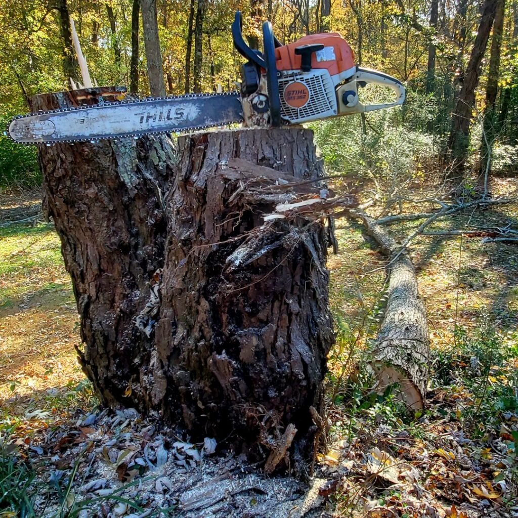 A chainsaw resting on a large tree stump, with a cut log nearby, indicating tree removal by Joshua Tree Service in Smyrna, GA.