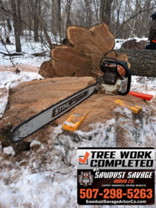 A Stihl chainsaw resting on a freshly cut tree stump after tree removal by Sawdust Savage Arbor Co. LLC in Rochester, MN.