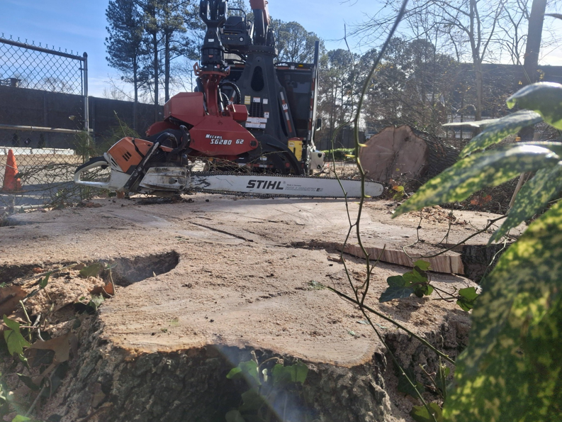 A large chainsaw resting on a freshly cut tree stump with wood chips, indicating recent tree work by Alley's Tree Service in Va Beach, VA.