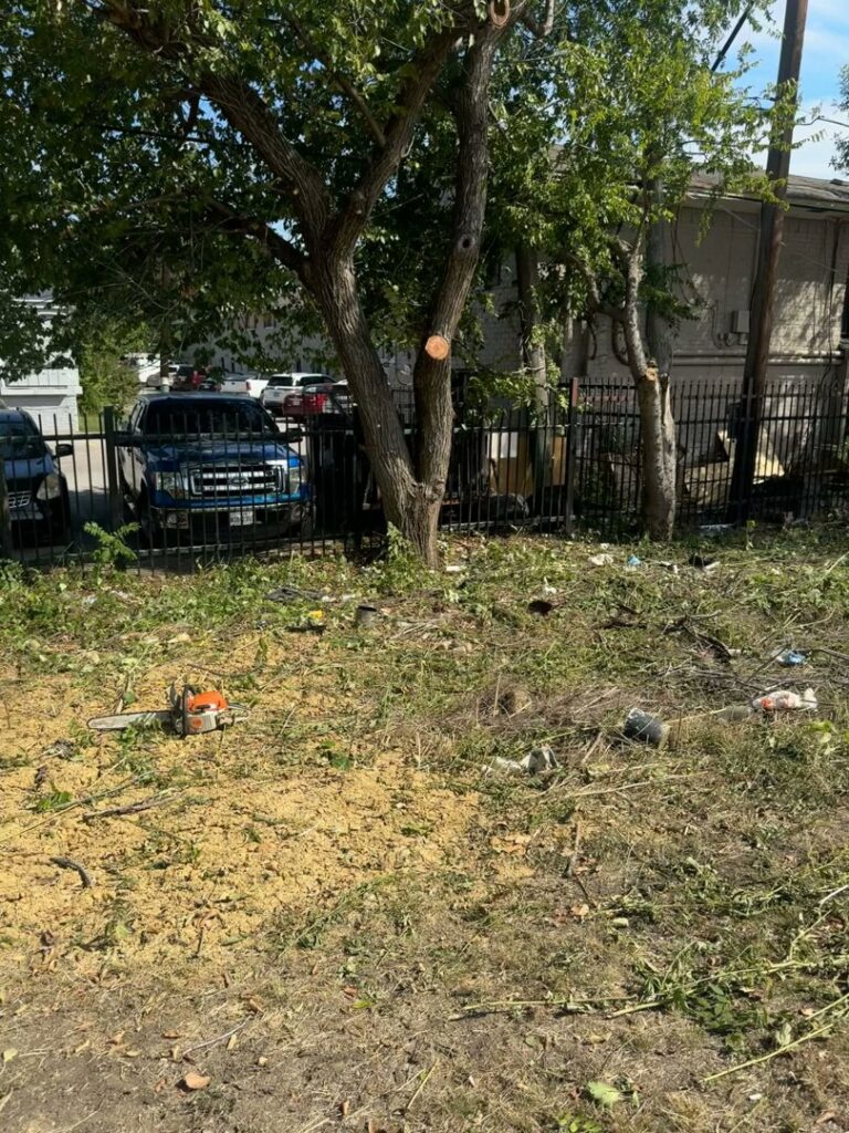 A chainsaw, sawdust, and cut tree branches on the ground after tree service by Lion Tree Service in Dallas, TX.