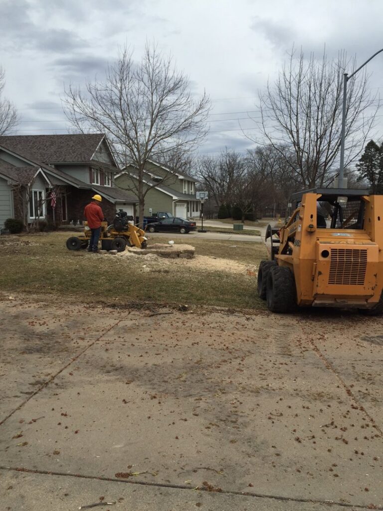 A tree service worker using a chainsaw to cut a large tree stump for Top Notch Tree Care in Holt, MI.