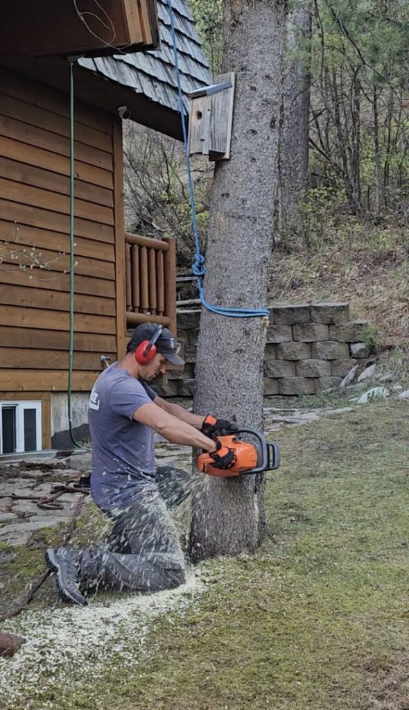 A worker using a chainsaw to cut a tree trunk near a building, demonstrating tree service by TRA, Teton Rope Access in Alpine, WY.