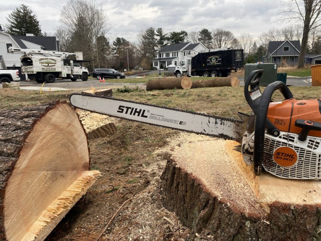 A large chainsaw next to a freshly cut tree stump and logs from Edgar&son's landscaping in Boston, MA