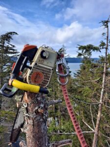 A chainsaw secured to a tree stump with climbing gear, overlooking the ocean, used by Everybody's Tree Service in Juneau, AK.