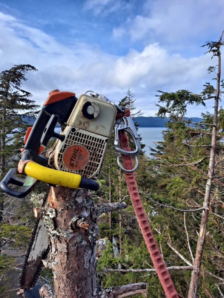 A chainsaw secured to a tree stump with climbing gear, overlooking the ocean, used by Everybody's Tree Service in Juneau, AK.