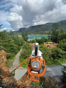 A chainsaw secured to a tree stump with climbing gear, with a forest view, used by Everybody's Tree Service in Juneau, AK.