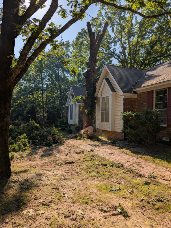 A worker using a chainsaw to cut a tree stump during removal services by Hughes Tree and Landscaping in Poolesville, MD.