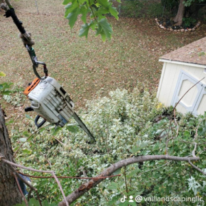A chainsaw secured by a rope during tree trimming services by Vail landscaping & tree services LLC in Oklahoma City, OK.