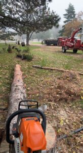 A chainsaw on a cut log with a wood chipper in the background for tree cleanup in Watertown, SD.