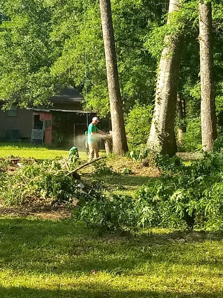 A Jesse James Tree Rangers worker using a chainsaw to process wood on the ground in Jacksonville, FL.
