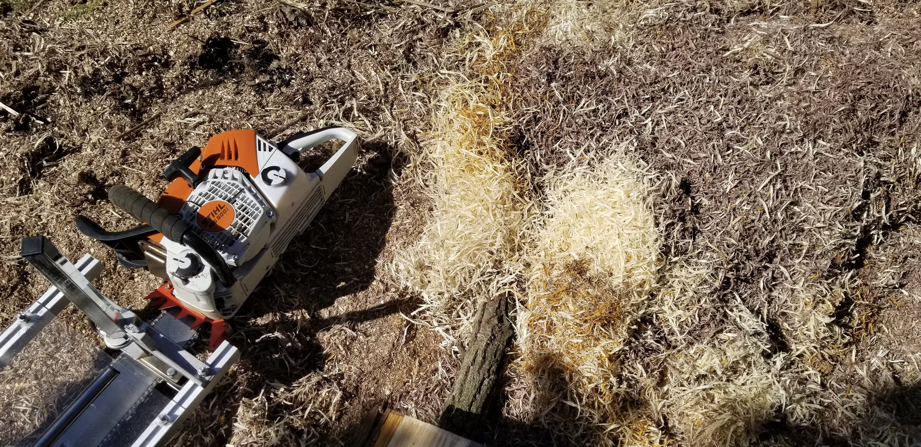 A chainsaw resting on the ground surrounded by fresh wood shavings after a tree cutting service by Arbor Solutions Tree Service in Ann Arbor, MI.