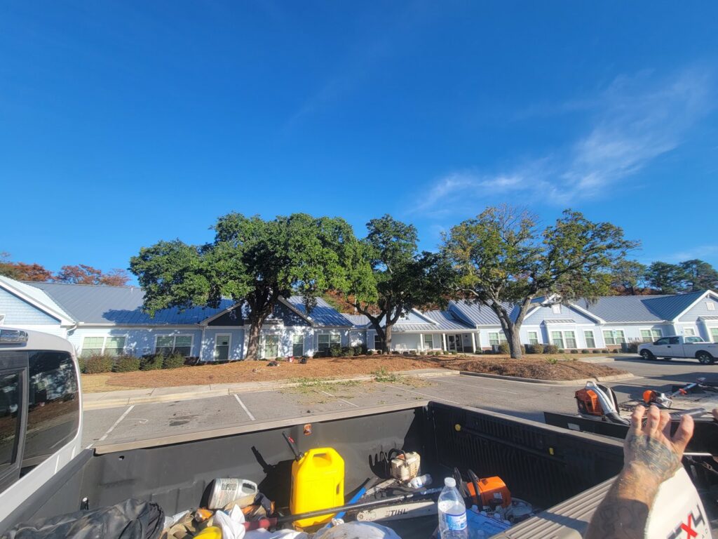 Chainsaws and tree care equipment in the back of a truck at a tree trimming site by TREE Masters Expert Tree Care in Wilmington, NC.