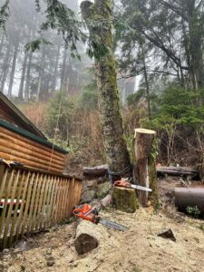 Chainsaws on the ground next to a fresh tree stump and wood chips after tree removal by Timberscape Industries LLC in Ketchikan, AK.