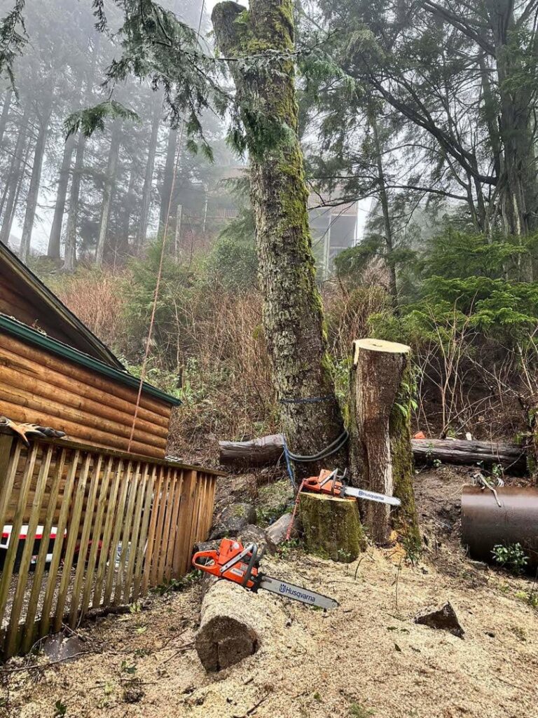 Chainsaws on the ground next to a fresh tree stump and wood chips after tree removal by Timberscape Industries LLC in Ketchikan, AK.
