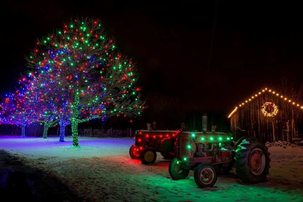 Professionally installed Christmas lights on trees and a barn by Chicago Christmas Lights LLC in Chicago, IL.