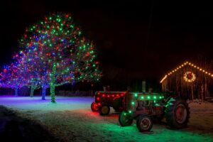 Professionally installed Christmas lights on trees and a barn by Chicago Christmas Lights LLC in Chicago, IL.