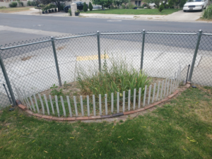 A circular garden bed with plants growing, maintained by Papa Bear's Home Care in West Valley City, UT.