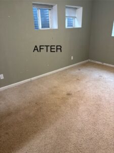 A clean, carpeted room with small windows after a junk removal service by Tiny Monster Junk Removal LLC in Denver, CO.