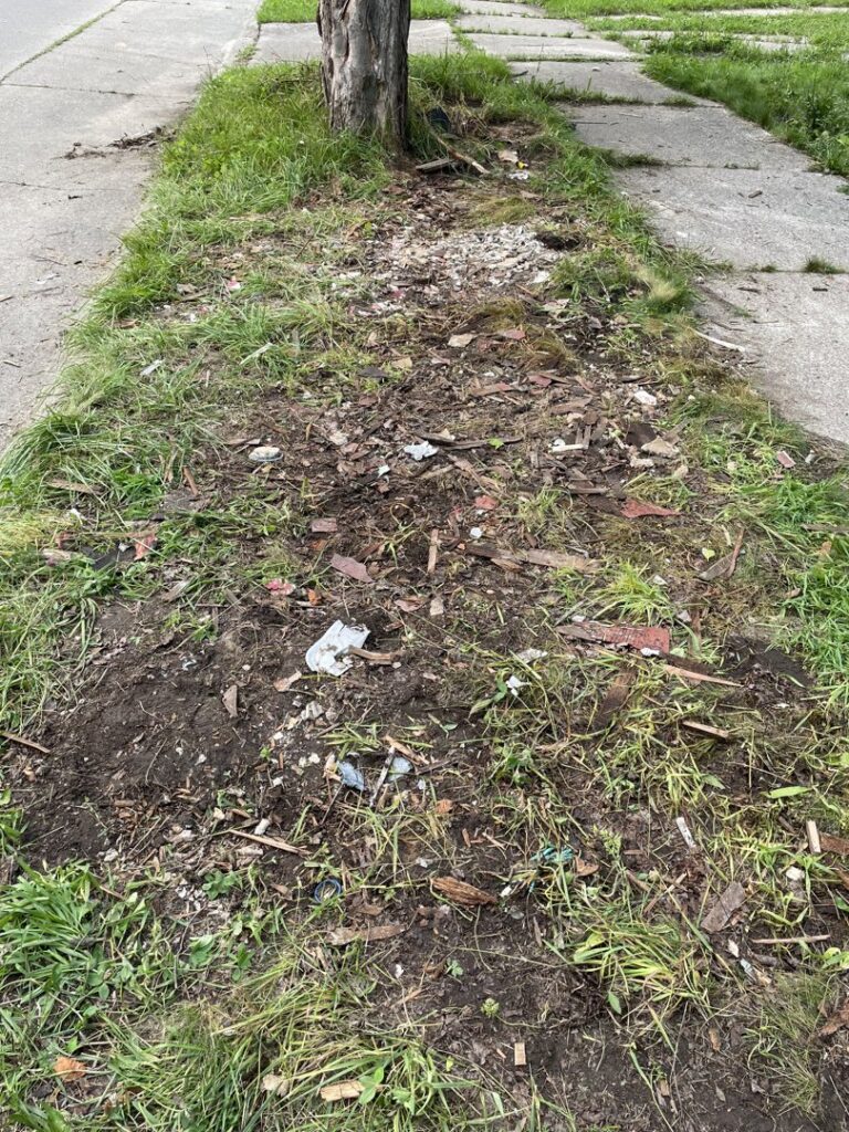 A patch of ground with scattered debris and trash, indicating a cleanup service by Prestige Junk Removal & Hauling in Detroit, MI