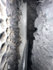 A cleaning tool inserted into a very dirty, lint-filled vent, demonstrating service from Elite Vent Cleaning in Bluebird Lane.