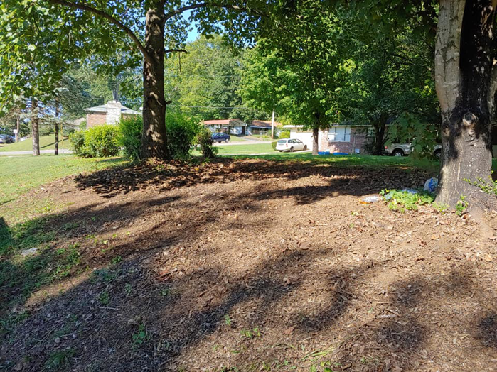 A cleared area covered in mulch after tree removal services by Ole' Smokey's Tree Service in Knoxville, TN.