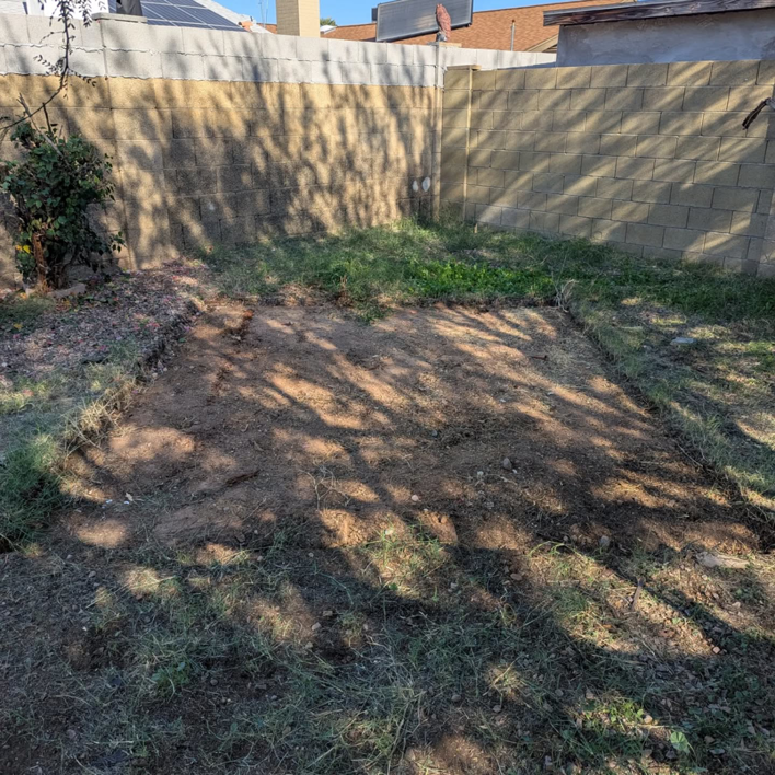 A cleared backyard area after a shed removal service by J & R Junk Removal in Phoenix, AZ.