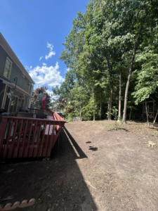 A cleared backyard with a visible tree stump after tree removal by Sergeant tree service in Atlanta, GA